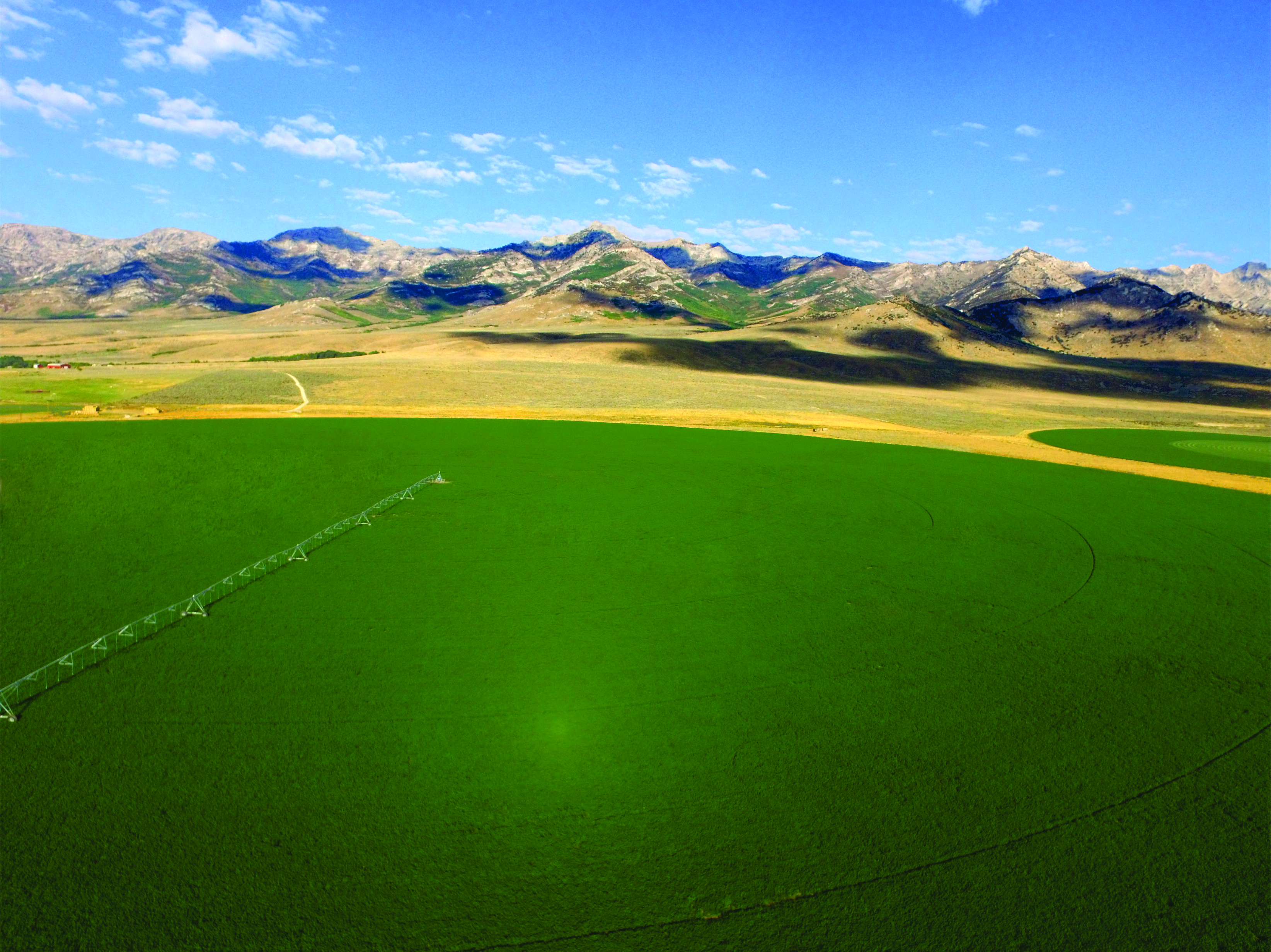 Treated pivot irrigation field — ArableONE™