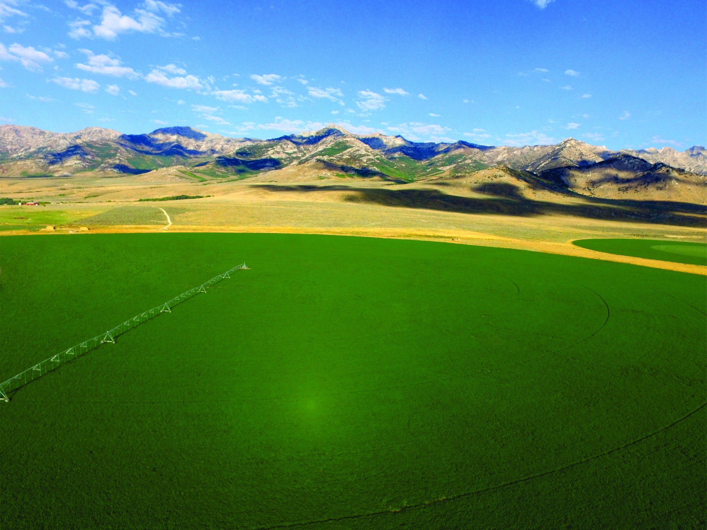 Treated pivot irrigation field — ArableONE™
