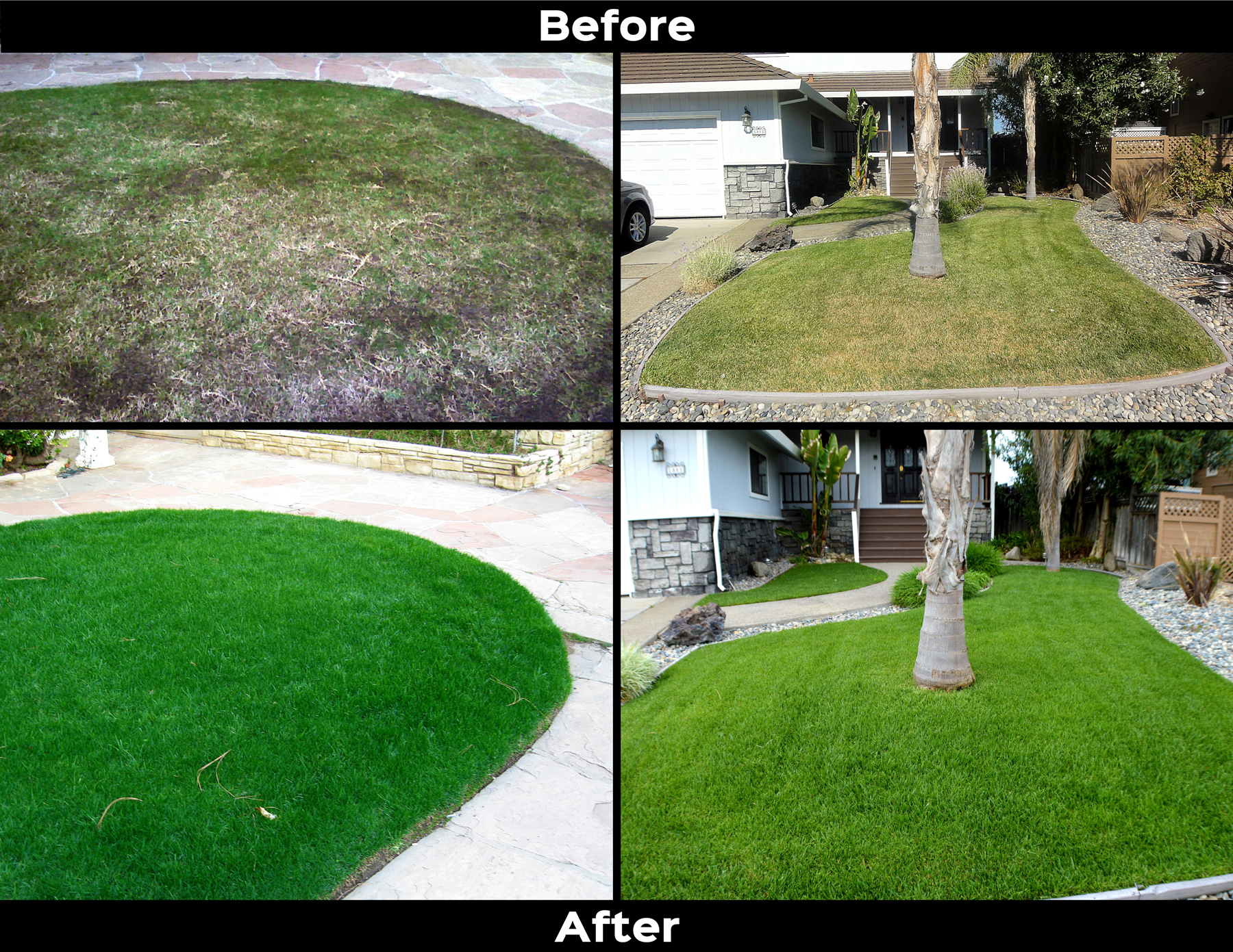 Lawn turf before and after ArableONE™