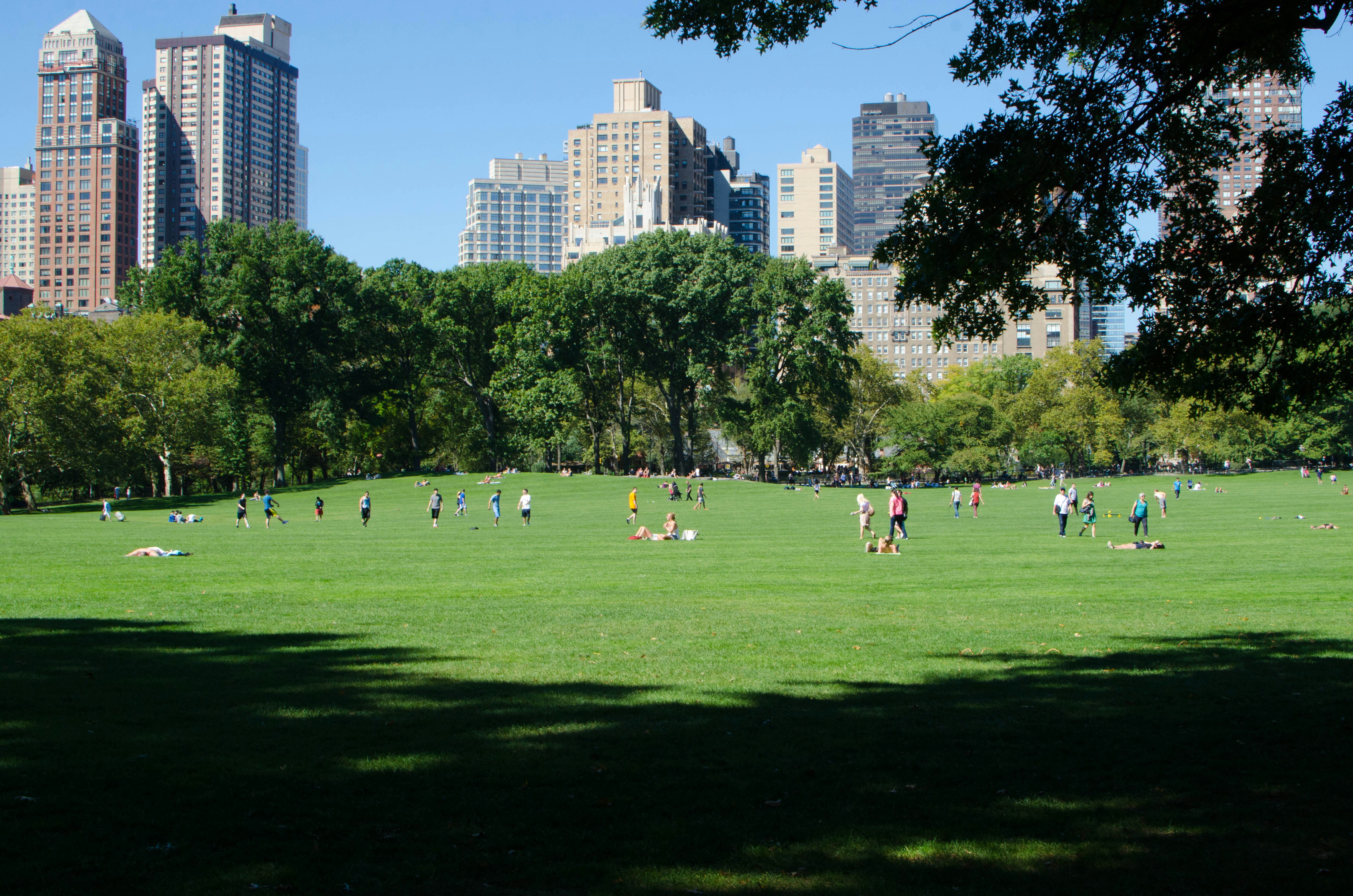 City park green space — ArableONE™